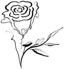 Rose Lineart Holiday Valentines Flowers Rose Lineart Png Html Seeking more png image rose tattoo png,rose petals falling png,red rose png? rose lineart holiday valentines