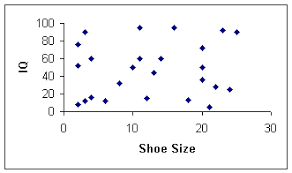 Behavioral Statistics In Action