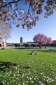 Frankfurt Foto Oleksandr Telesniuk Stadte Reise Frankfurt Am Main Reisen