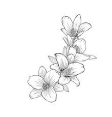 Black cartoon cat leaf temporary tattoo vintage fake waterproof boho small wrist tattoo custom bache. Floral Tattoo Black White Vector Images Over 20 000