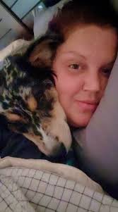 Aussie dogs loving to lay