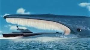 The dead whale are not important to the setup. Drachenfyr Media Archive ØªÙˆÙ†Ø³ Vlip Lv