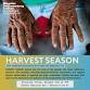 HARVEST SEASON   — maysles documentary center event in New York, NY