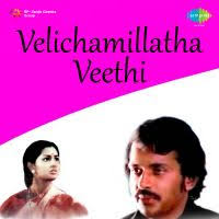 Kanana Chayayil Song Mp3 Download Lyrics Watch ramanan kavitha with lyrics | changampuzha krishna pillai | kananachayayil aadumekkan. kanana chayayil song mp3 download lyrics