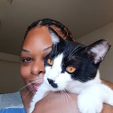 I'm having a serious debate. How many times do you feed your indoor cat?  And do you leave out dry food throughout the day?