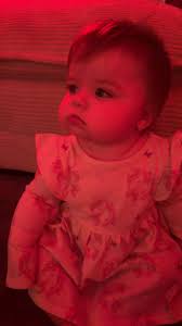 Dog found and reunited with family