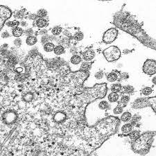 Must monitor for adverse effects. Image Library Cdc Online Newsroom Cdc