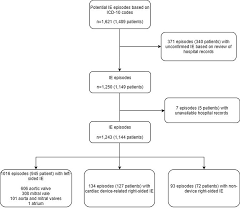 It contains codes for diseases, signs and symptoms, abnormal findings, complaints. The Epidemiology Of Infective Endocarditis With Focus On Non Device Related Right Sided Infective Endocarditis A Retrospective Register Based Study In The Region Of Southern Denmark Sciencedirect