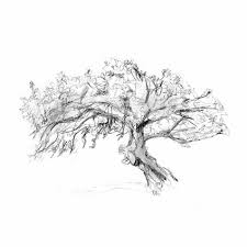 2, 3, 5, 7, 10 tabs at the taskbar. Cork Oak Zen Drawing Print