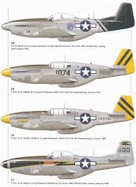Pin On P 51 Paint Jobs