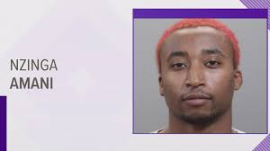 Knoxville activist receives 90-day probation after being convicted of  resisting arrest