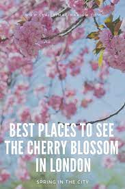 Best Places In London To See The Cherry Blossom Best Places In London Places To See London Places