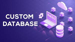 Top 10 Benefits of a Custom Database