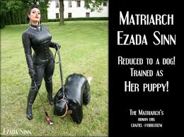 My beauty will make you feel weak and very humble. Horstie Fm Chattel Of Ezada Sinn On Twitter Mistress Ezada Reduced To A Dog Trained As Your Puppy I Would Love It In Real Life Https T Co Fi6nqflghz Twitter