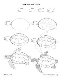 Sealife Drawing Easy Turtle Drawing Sea Turtle Drawing Turtle Painting