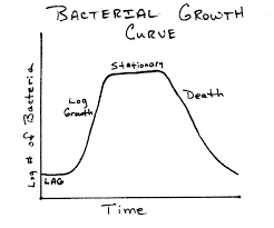 Microbial Growth