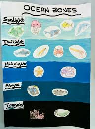 Ocean Zones With Animals That Live On Each Zone Ocean Zones Ocean Kindergarten Ocean Animals Preschool