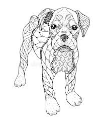Free printable coloring pages of boxer dogs 148 appealing dog. Boxer Dog Drawing Stock Illustrations 1 187 Boxer Dog Drawing Stock Illustrations Vectors Clipart Dreamstime