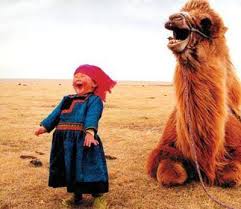 A nomadic family in mongolia's gobi desert faces a problem when a white camel colt is born in a difficult delivery and the mother rejects it. Meet The Children S New Best Friend Bozaround