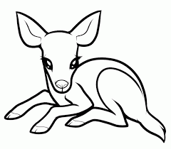 The original format for whitepages was a p. Baby Deer Coloring Page Coloring Home
