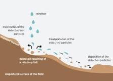 Image result