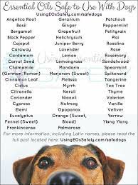 Homemade recipes to keep your pets healthy is a book written in simple language to help pet lovers maintain the health of the oils i advise to avoid in dogs are those of tea tree, birch, camphor and wintergreen just because there are safer and less controversial oils that are. Essential Oils That Are Safe For Dogs Essential Oils Dogs Are Essential Oils Safe Living Essentials Oils