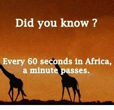 We did not find results for: Dopl3r Com Memes Did You Know Every 60 Seconds In Africa A Minute Passes