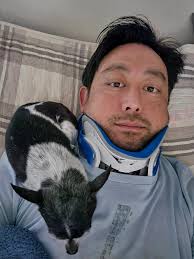 I need opinions what kinda Chihuahua do you all think my baby is ?