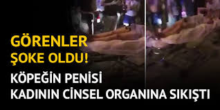 Kopegin Cinsel Organi Kadinin Vajinasina Sikisti