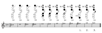 The Kingma System Bass Flute A Practical Guide For