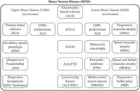 The disease causes the death of. Frontiers Machine Learning In Amyotrophic Lateral Sclerosis Achievements Pitfalls And Future Directions Neuroscience