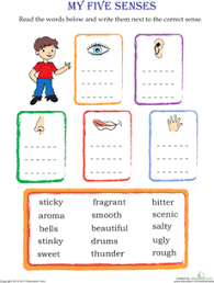 Sensory Description Match Up Worksheet Education Com My Five Senses 1st Grade Science Senses Preschool