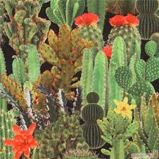 Check spelling or type a new query. Black Fabric From Japan With Green Cactus Plants By Kokka Modes4u