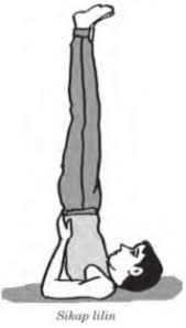 Senam Lantai Pengertian Sejarah Singkat Macam Jenis Cara Melakukan Manfaat Tujuan Peraturan Dan Contoh Senam Lantai Ranking Kelas