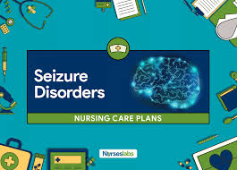 4 Seizure Disorder And Epilepsy Nursing Care Plans