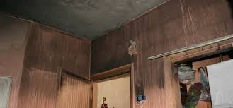 Badana boya nasıl yapılır ustasından gör evde uygula how to paint in the house to see how to paint. Kuzey Temizlik Sirketleri Istanbul Temizlik Firmasi Kuzey Group