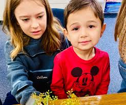 San Francisco Flower Mart