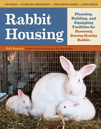 Don't keep your bunny under the direct sunlight. Rabbit Housing Planning Building And Equipping Facilities For Humanely Raising Healthy Rabbits Bennett Bob 9781603429665 Amazon Com Books