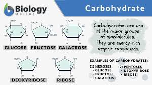 General structure of carbohydrates showing aldehyde/ketone groups and hydroxyl groups