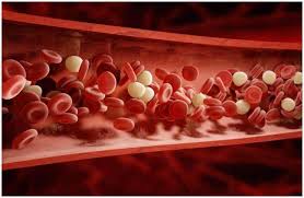 Hemophilia is a bleeding disorder that slows down the blood clotting process. 9 Famous People With Hemophilia Your Health Remedy