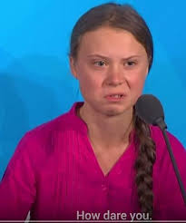 Greta thunberg memes that will cause global catastrophe. Here You Go Use This Greta Thunberg Template For Future Memes Have A Nice Day Memers Memes