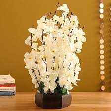 Our business model is to provide the best flower delivery service directly to a consumer while avoiding any middleman and providing you with the lowest prices available. Buy Artificial Flowers Online Plastic Flower Arrangements Ferns N Petals