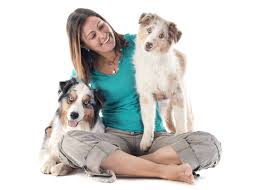 My mind is clear, i'm fitter and i sleep well at night. Dg Care Testimonials Woodlands Doggie Village
