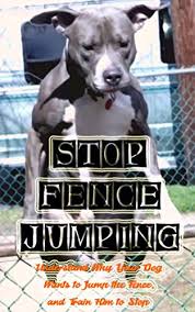 Bamboo roll fence is more cheap and beautiful. Keep Dog From Jumping Fence Off 73 Www Usushimd Com