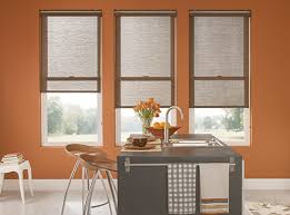 Bali Roller Shades Style Linen
