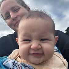 Where to buy a whole or half cow and pig?