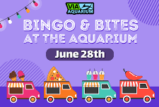 Bingo & Bites at Via Aquarium