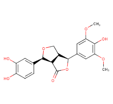 Image result for Commiphora fulvotomentosa