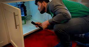1 if you stop eating so much junk food, you.(lose) weight. Do I Have To Leave The House For Pest Control Vinx Pest Control