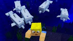 Schwimmen Mit Delphinen Mehr Snapshot 18w21a Minecraft Update 1 13 Youtube